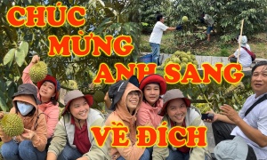 CHUẨN BỊ THU HOẠCH VƯỜN ANH SANG-HẬU GIANG (11/5/2023)